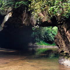 Rock Bridge